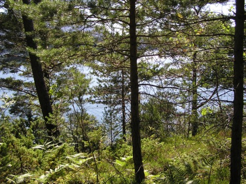 P8010101.JPG