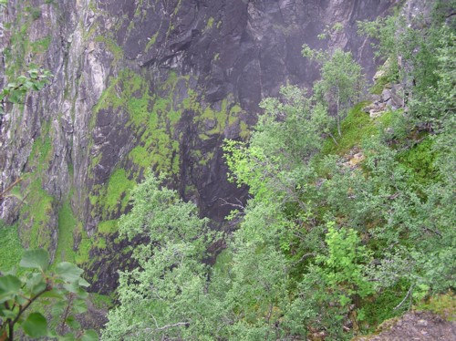 P8030141.JPG