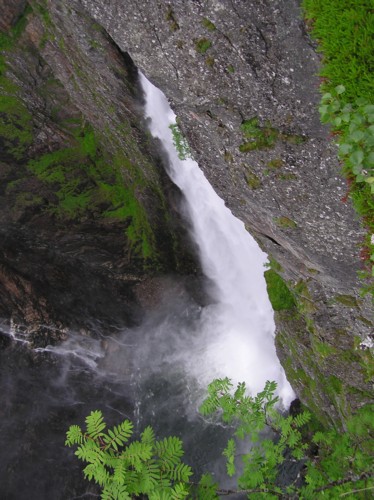 P8030146.JPG