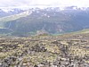 P7310046.JPG