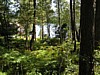 P8010099.JPG
