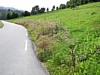 P8020130.JPG