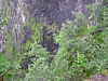 P8030141.JPG